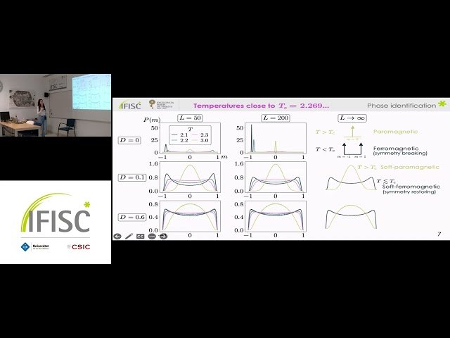 Stochastic Field Effects in the Ising Model - Symmetry Breaking and Symmetry Restoring