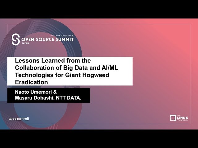 Acceleration Techniques of Image Preprocessing and Their Effect on Machine Learning Systems