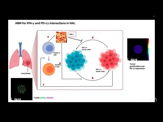 Evolutionary Immunotherapy in NSCLC - Optimal Dosing in Adoptive Cell Therapy