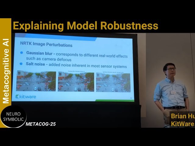 Explaining Model Robustness Through Saliency Maps and Natural Robustness Testing