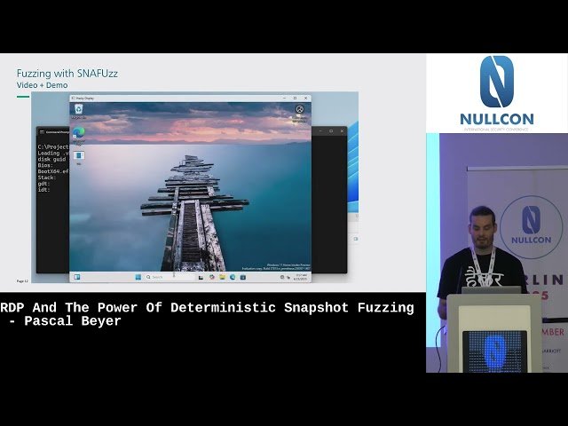 RDP and The Power of Deterministic Snapshot Fuzzing