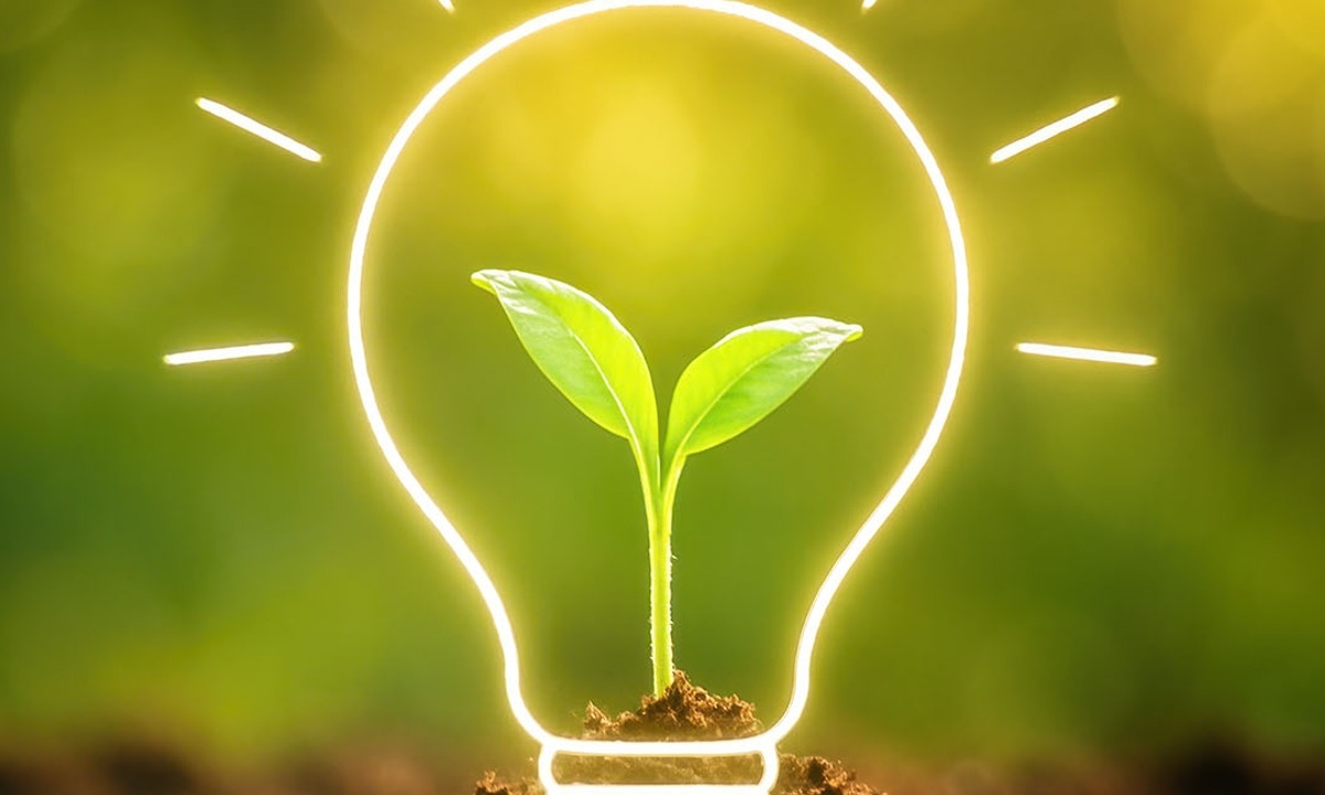 Sustainability Education