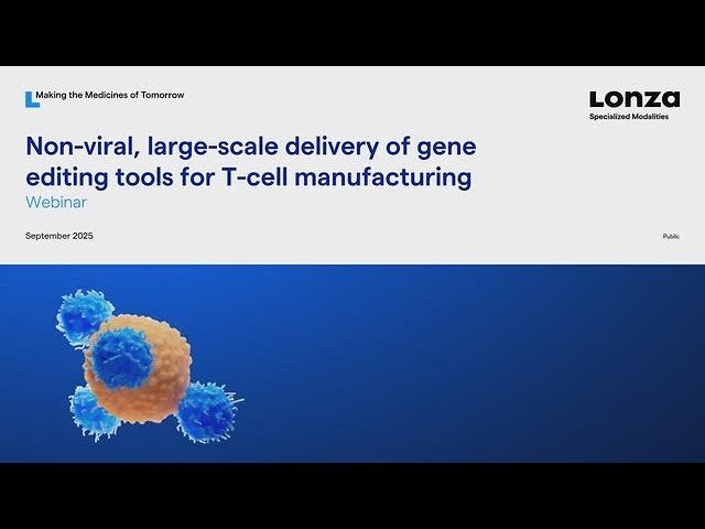 Non-Viral, Large Scale Delivery of Gene Editing Tools for T Cell Manufacturing