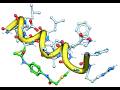 Peptide Modeling in MolSoft ICM-Pro Interactive Ligand Editor