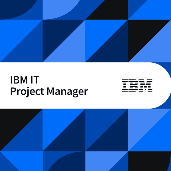 IBM IT Project Manager
