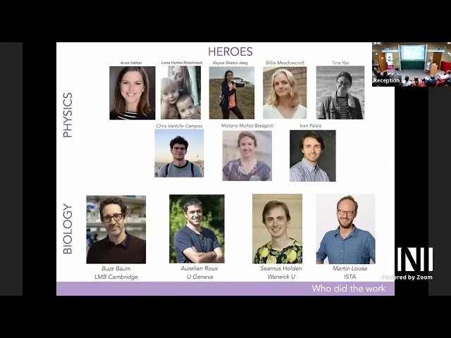 Mortal Active Filaments and Cell Division