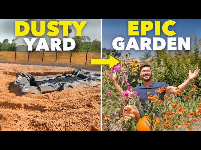Dry Dusty Yard to Lush Paradise Garden - How He Did It