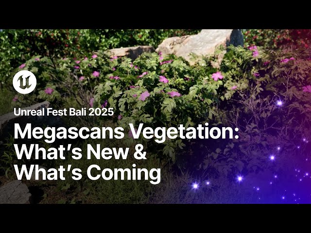 Megascans Vegetation - What's New and What's Coming Soon