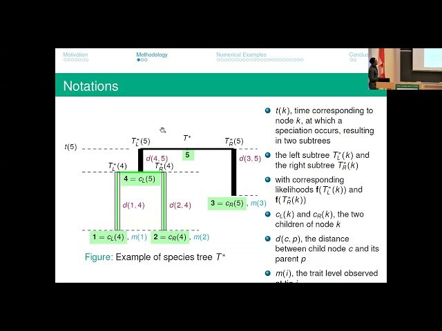 Quasi-Birth-and-Death Processes Evolving Within Phylogenetic Trees - Modelling Traits of Species