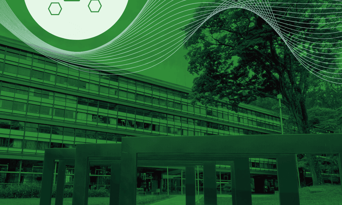 Modelagem de sistemas soft (SSM)