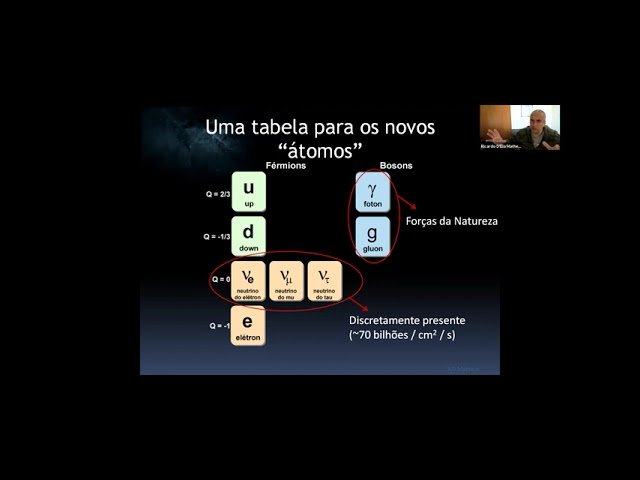 Introdução à Física de Partículas