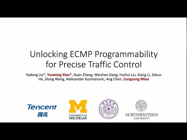 Unlocking ECMP Programmability for Precise Traffic Control