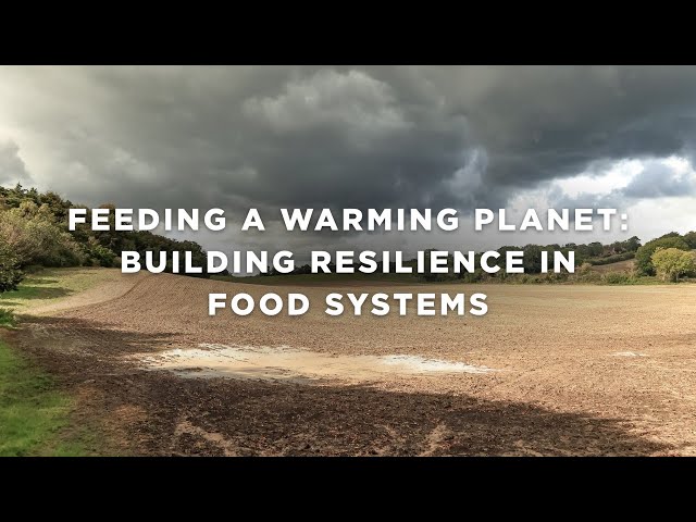 Feeding a Warming Planet - Building Resilience in Food Systems