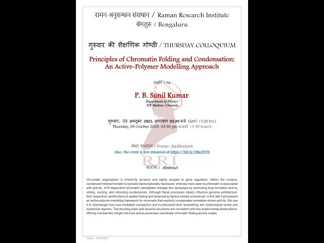 Principles of Chromatin Folding and Condensation - An Active-Polymer Modelling Approach