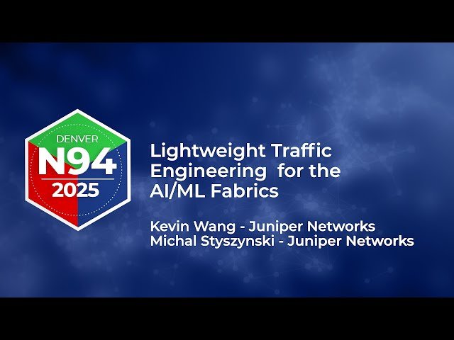 Lightweight Traffic Engineering for the AI/ML Fabrics