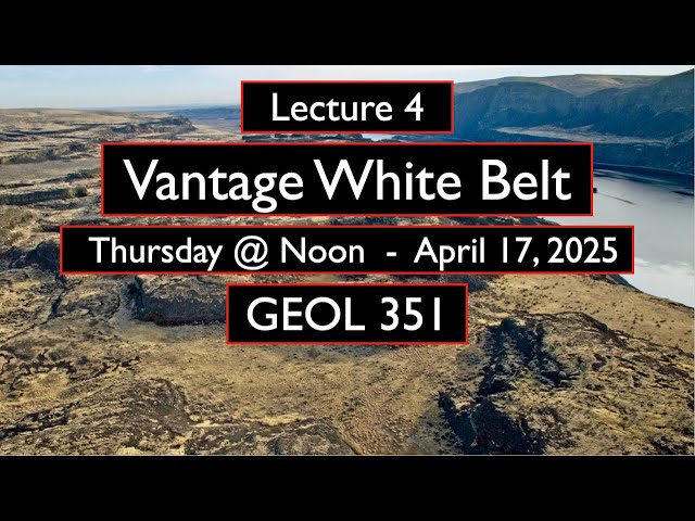Vantage White Belt Stratigraphy - Lecture 4