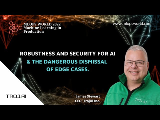 Robustness and Security for AI - Addressing Edge Cases in Mission-Critical Systems