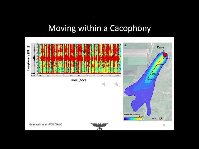 Potential of Echolocation for Communication