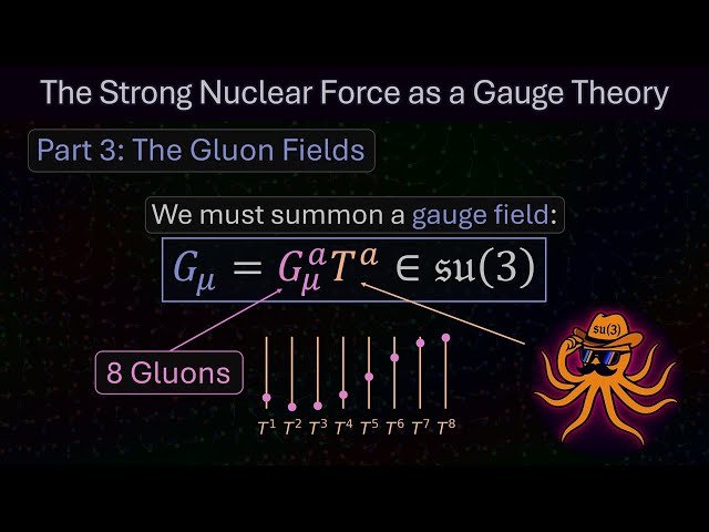 The Strong Nuclear Force as a Gauge Theory - Part 3: The Gluon Fields