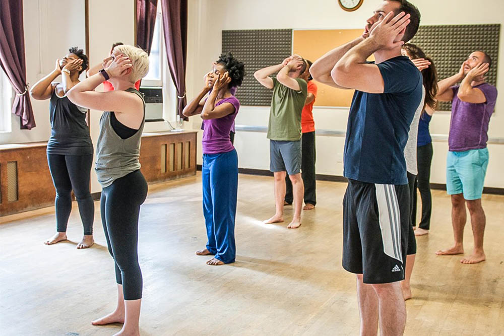 Accelerated Voice Level 1 (Live Online)