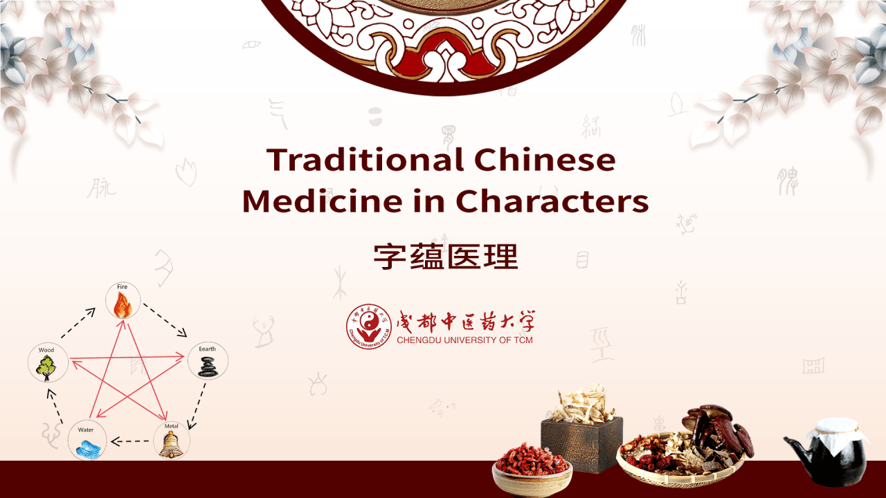 Traditional Chinese Medicine in Characters