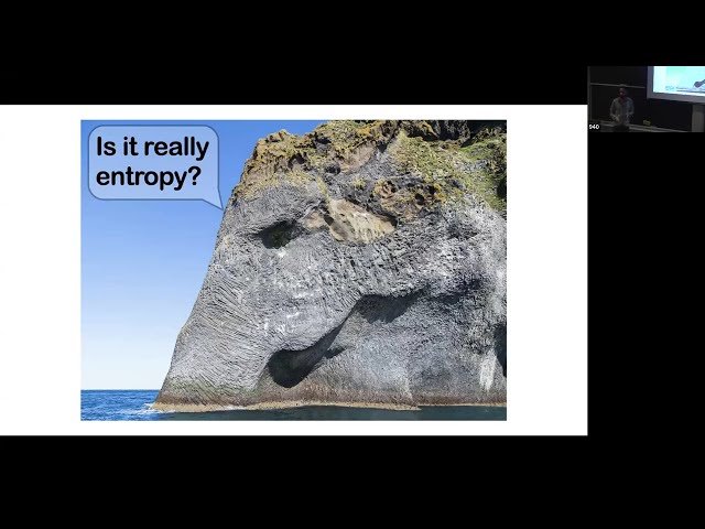 Quantum Black Holes - Understanding Chaos and Information Paradox