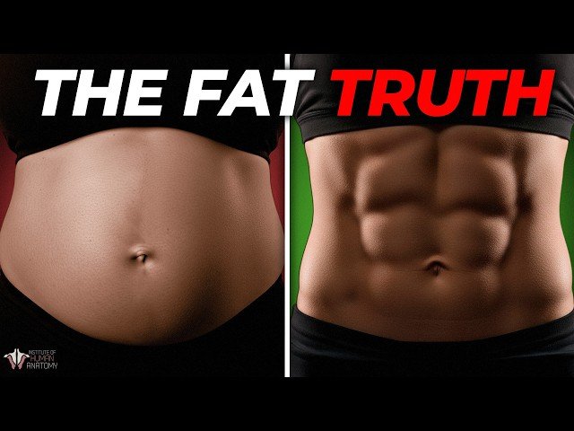 The Science of Fat Burning - Understanding Metabolism and the Aerobic Energy System