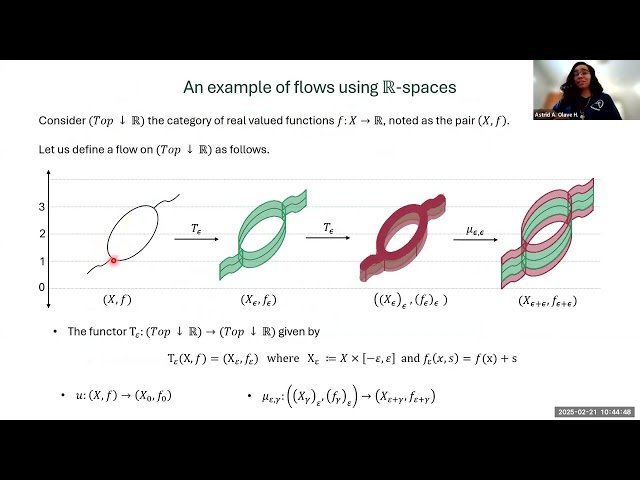 Generalizing the Interleaving Distance Using Categorical Flows