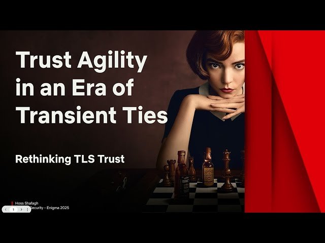 Trust Agility in an Era of Transient Ties - Rethinking TLS Trust in a Rapidly Evolving Ecosystem