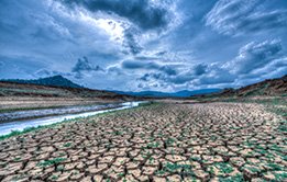 The Literature of Climate Crisis