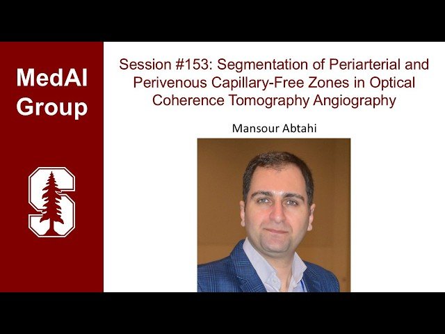 Segmentation of Periarterial and Perivenous Capillary-Free Zones in Optical Coherence Tomography Angiography