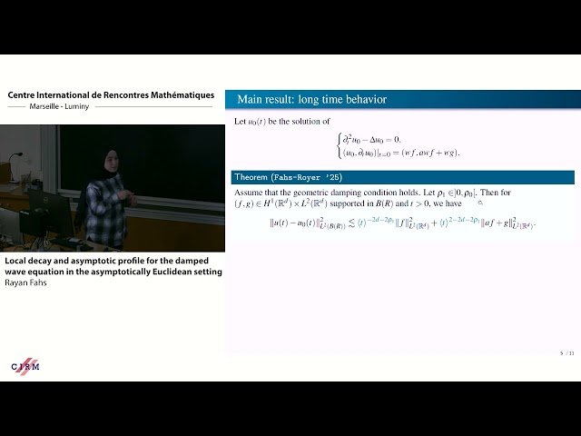 Local Decay and Asymptotic Profile for the Damped Wave Equation in Asymptotically Euclidean Settings