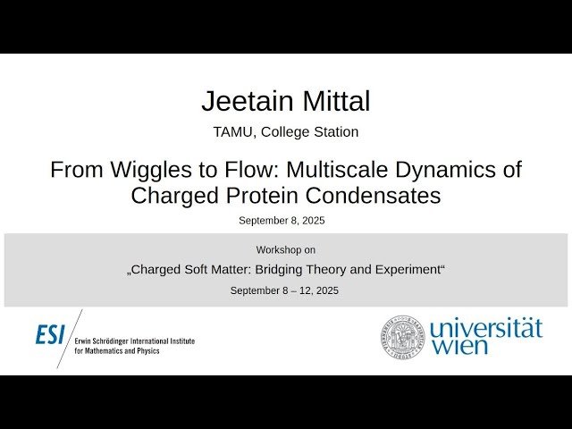 From Wiggles to Flow - Multiscale Dynamics of Charged Protein Condensates