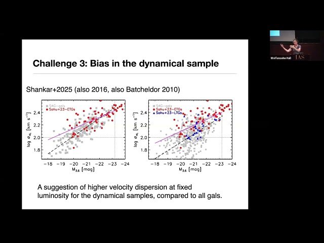 Connecting Electromagnetic and Gravitational Wave Probes of Supermassive Black Hole Demographics