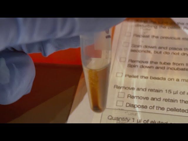 Educator's Guide to Nanopore 16S: Library Preparation