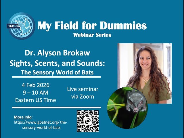 Sights, Scents, and Sounds - The Sensory World of Bats