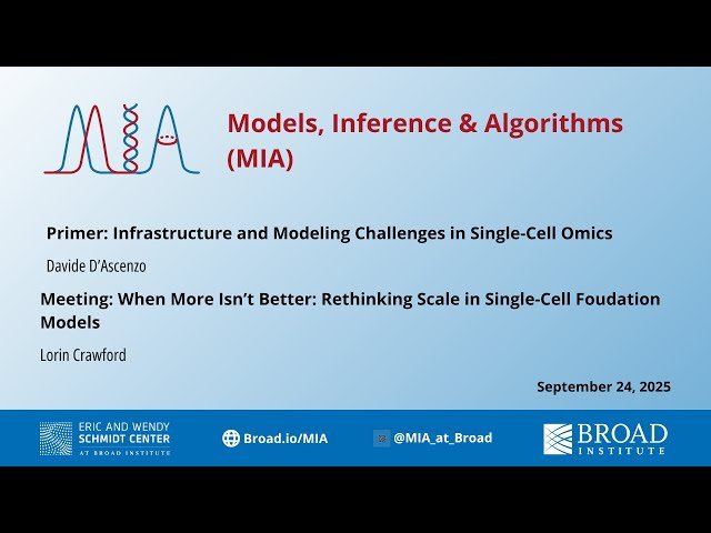 Rethinking Scale in Single-Cell Foundation Models and Infrastructure Challenges in Single-Cell Omics