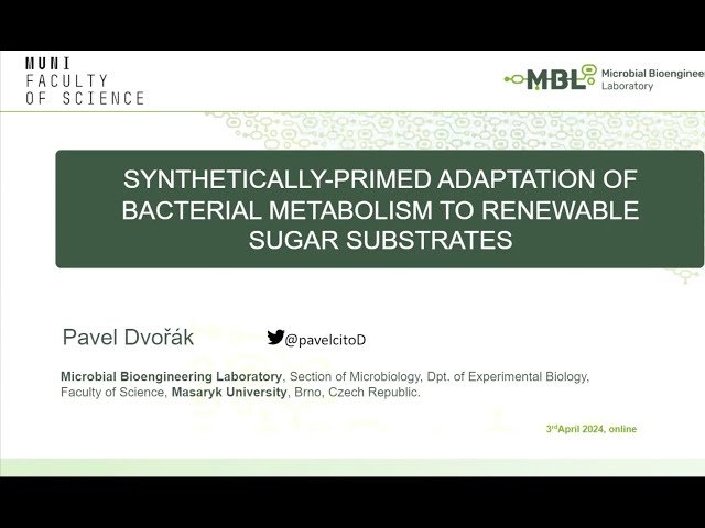 Synthetically Primed Adaptation of Bacterial Metabolism to Renewable Sugar Substrates