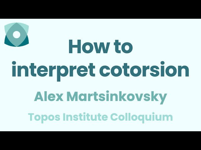 Interpreting Cotorsion in Linear Control Systems