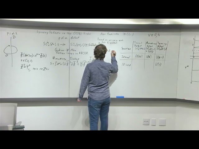 Spinning Defects in the O(2N) Model and Virasoro OPE, Casimir, and Blocks - Day 13