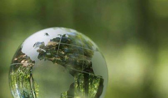 See Clearly without Surgery or Spectacles (Live Online)