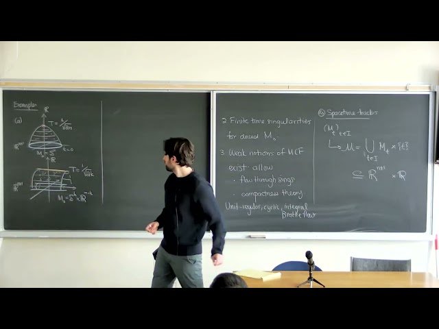 Generic Perturbations of Mean Curvature Flows