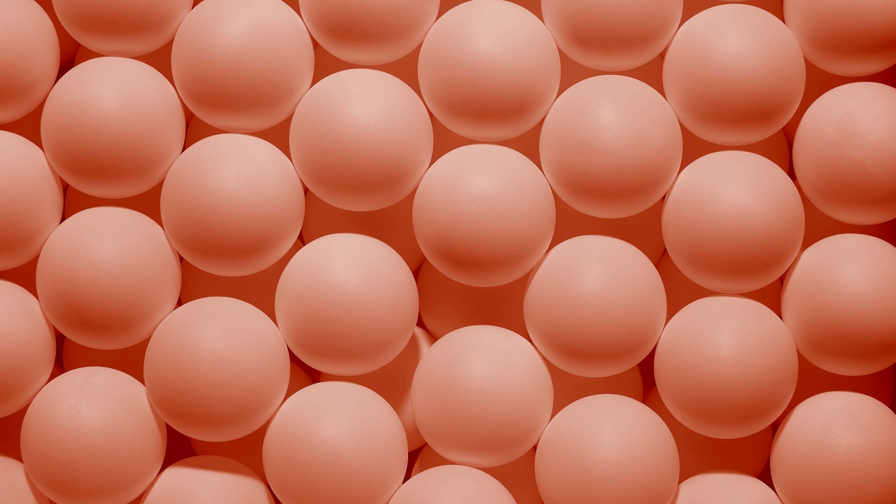 Python – schnell und intensiv Programmieren lernen