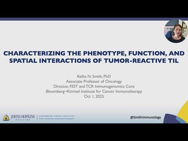 Characterizing the Phenotype, Function, and Spatial Interactions of Tumor-Reactive TIL