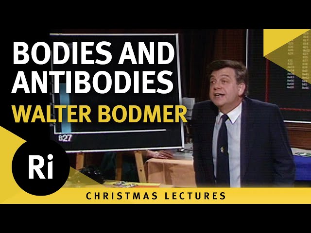 Bodies and Antibodies - New Vaccines Through Genetic Engineering - Lecture 4