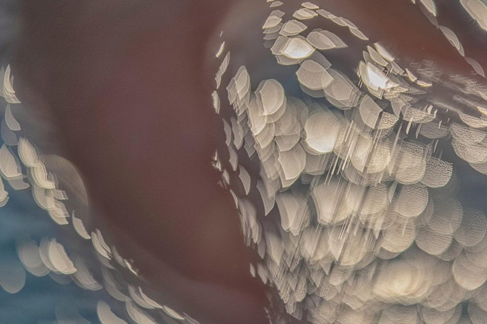 History of Photography: Abstracts 2: Online The History and Projects of Insight (Live Online)