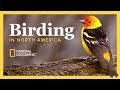 The National Geographic Guide to Birding in North America
