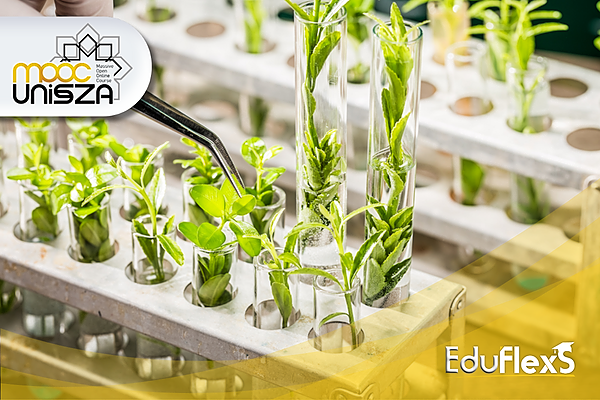 Plant Breeding Methods