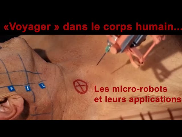 Le Voyage Fantastique - Micro-robots et Systèmes Synthétiques pour Applications Médicales