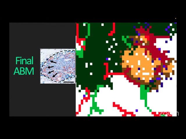 Using Agent-Based Modeling to Uncover the TNBC - Lung Microenvironment Cross-Talk During Metastatic Niche Initiation and Growth